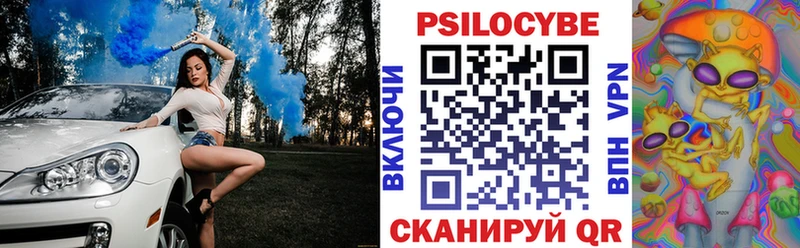 Псилоцибиновые грибы Psilocybine cubensis  закладки  Вышний Волочёк 