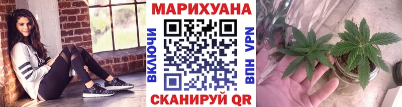 Каннабис White Widow кракен как зайти нарко площадка телеграм как найти наркотики Вышний Волочёк